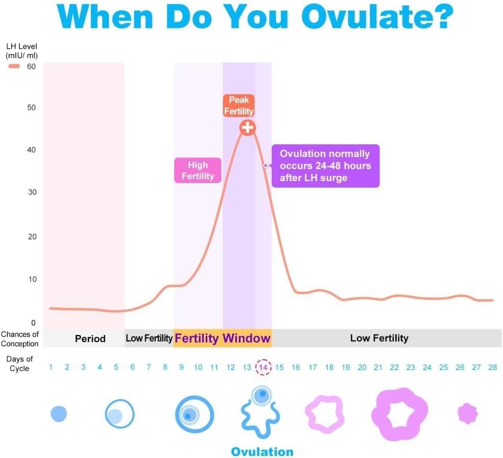 Prueba De Ovulación 50 Tiras De Lh Easy@home