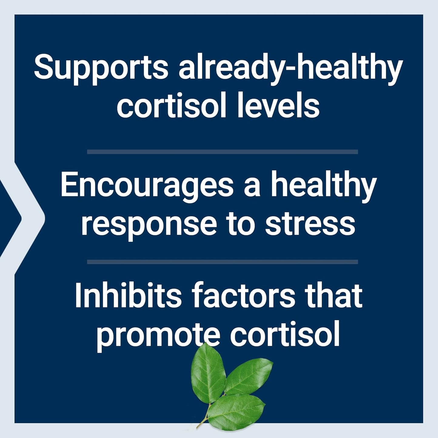 Cortisol Equilibrio de Estrés 30 Cápsulas Vegetarianas Apoyo para el Bienestar General